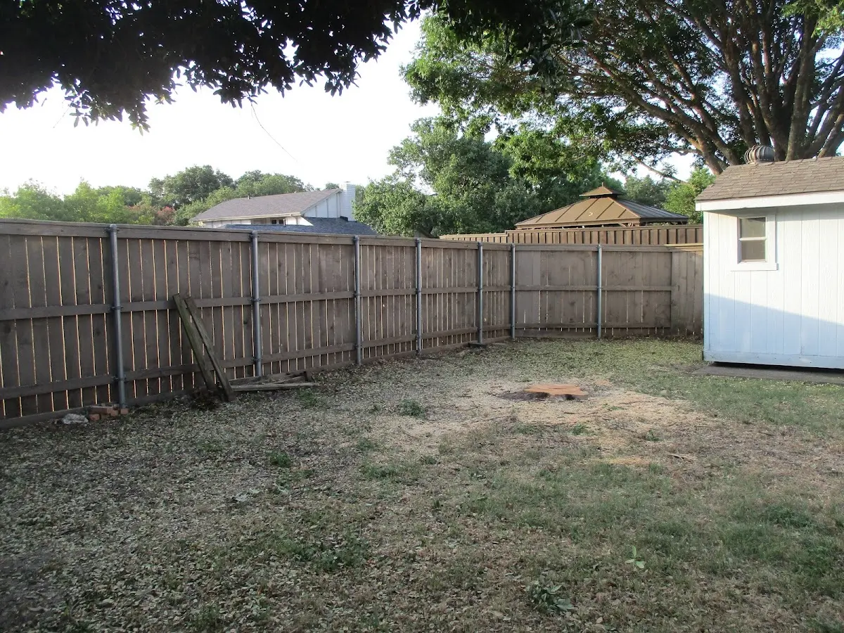 Cleared yard after professional tree removal in Byromville